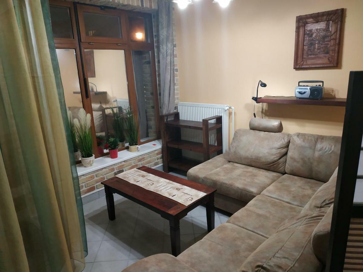 Apartman Holandska 120 Beroun 贝龙 外观 照片