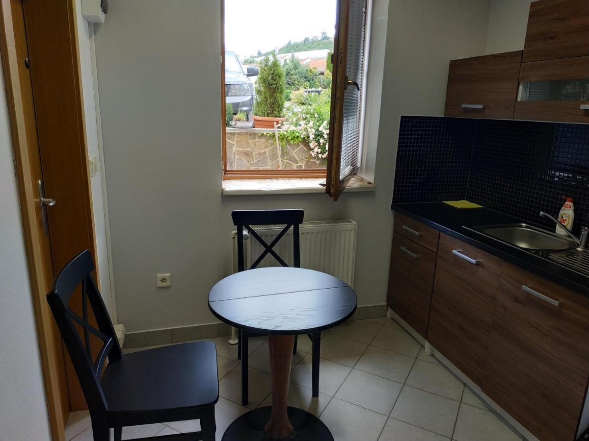 Apartman Holandska 120 Beroun 贝龙 外观 照片